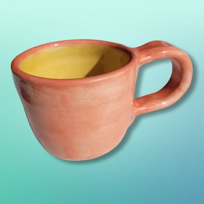 Salmon Color Mug